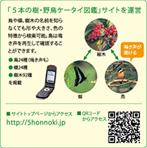 図:5本の樹・野鳥ケータイ図鑑
