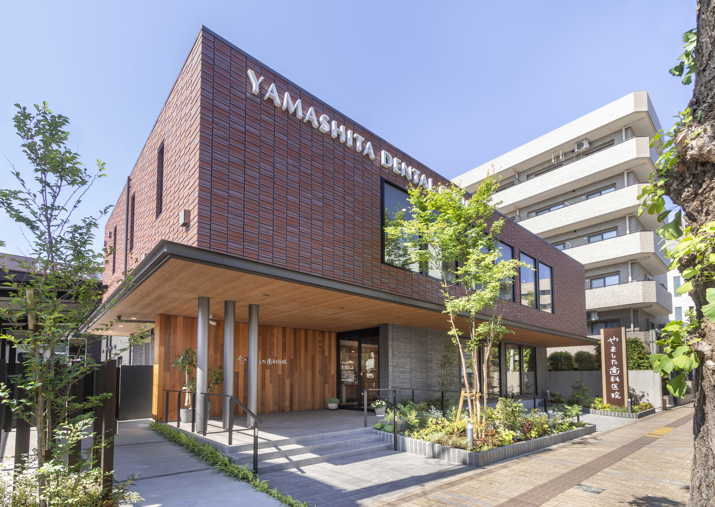 yamashita_113_1_M.JPG